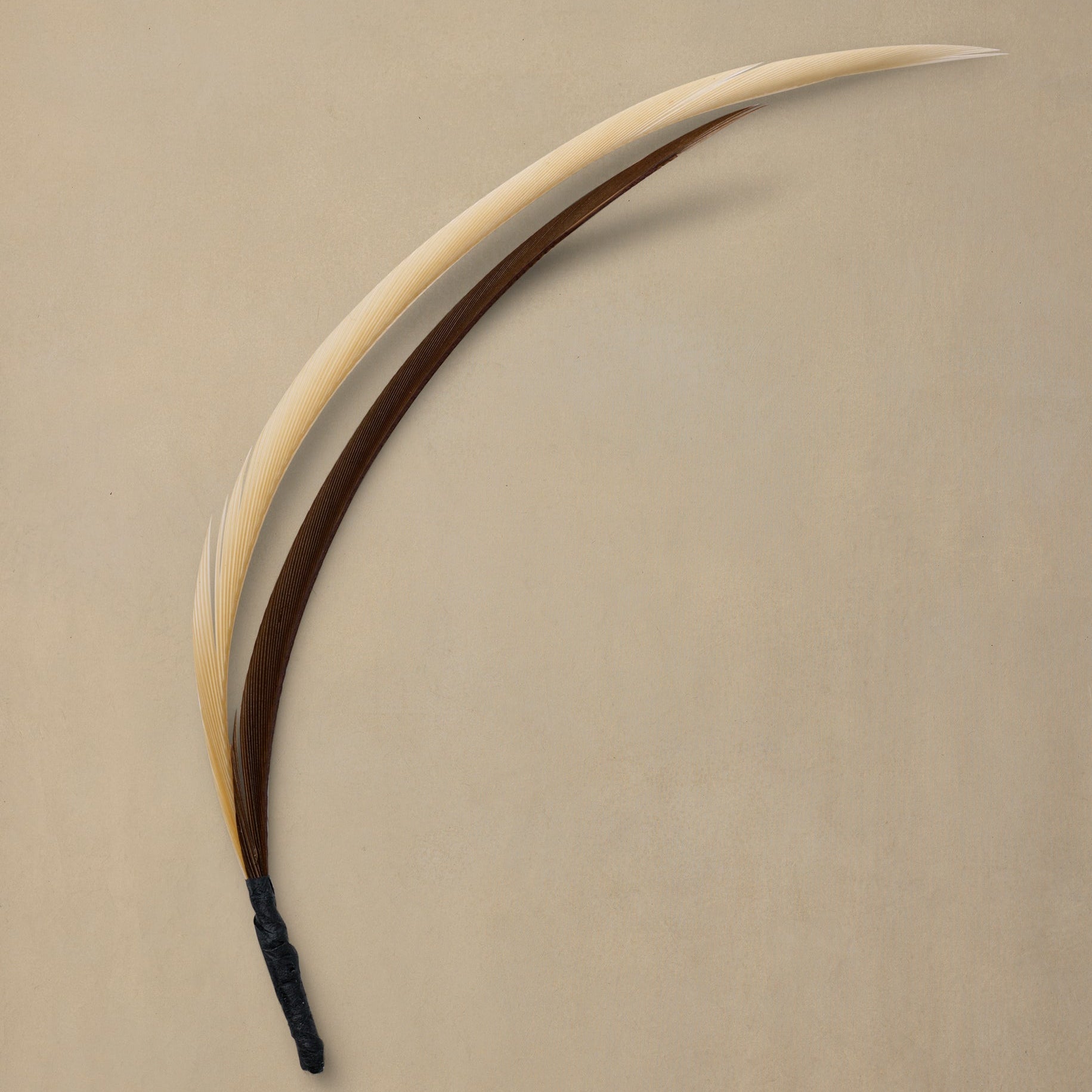 Drovers Quill
