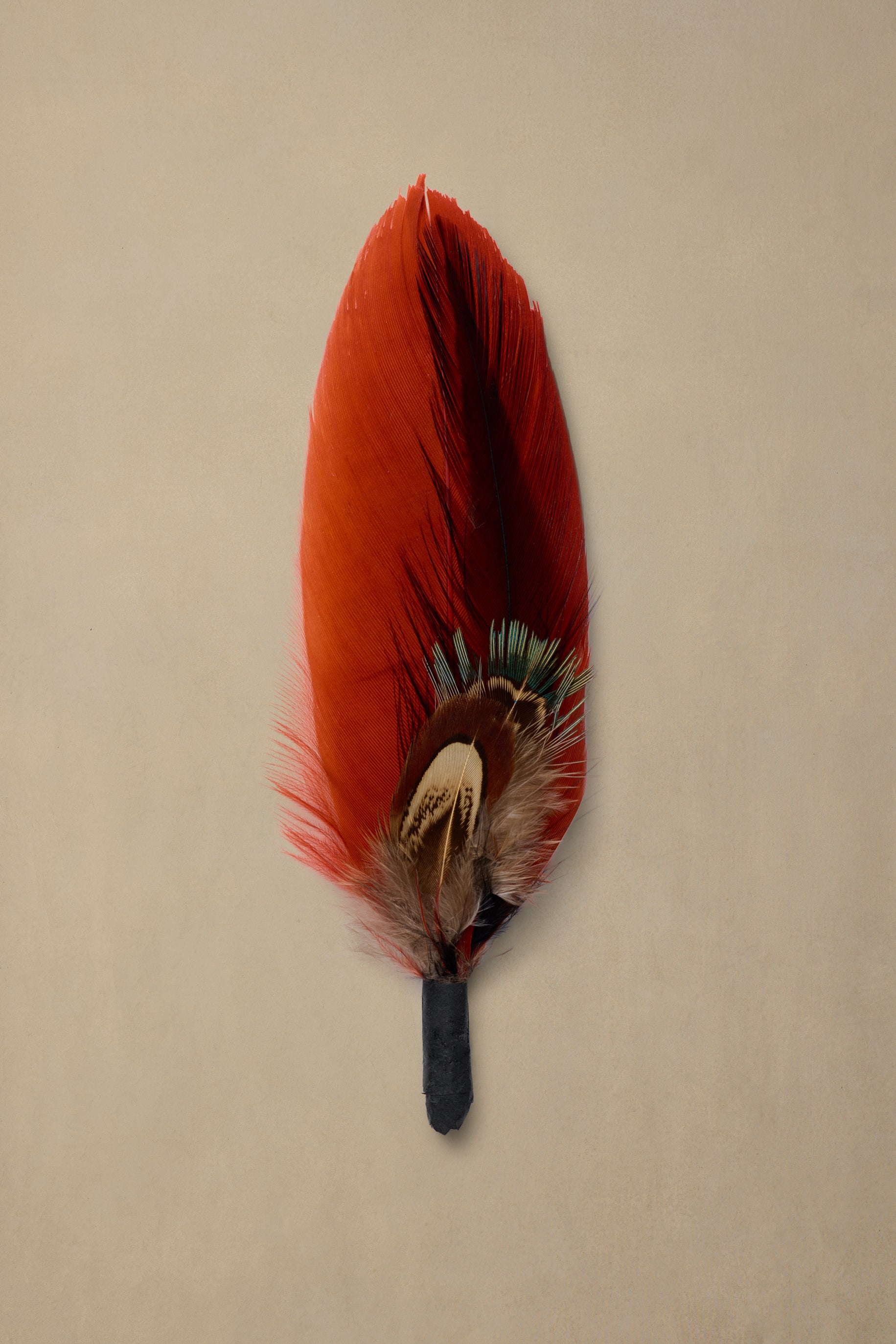 Ember Plume