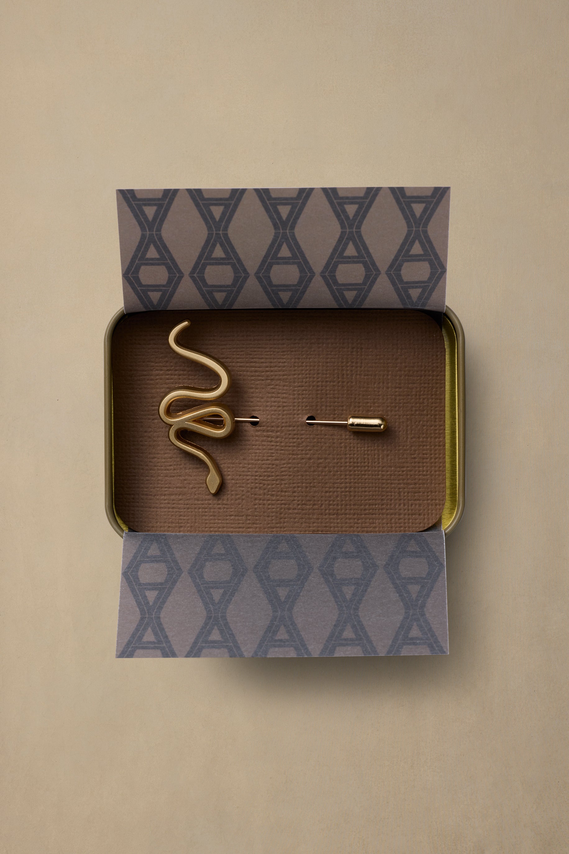 Gold serpent-shaped brass pin displayed in open box with brown interior and patterned blue packaging