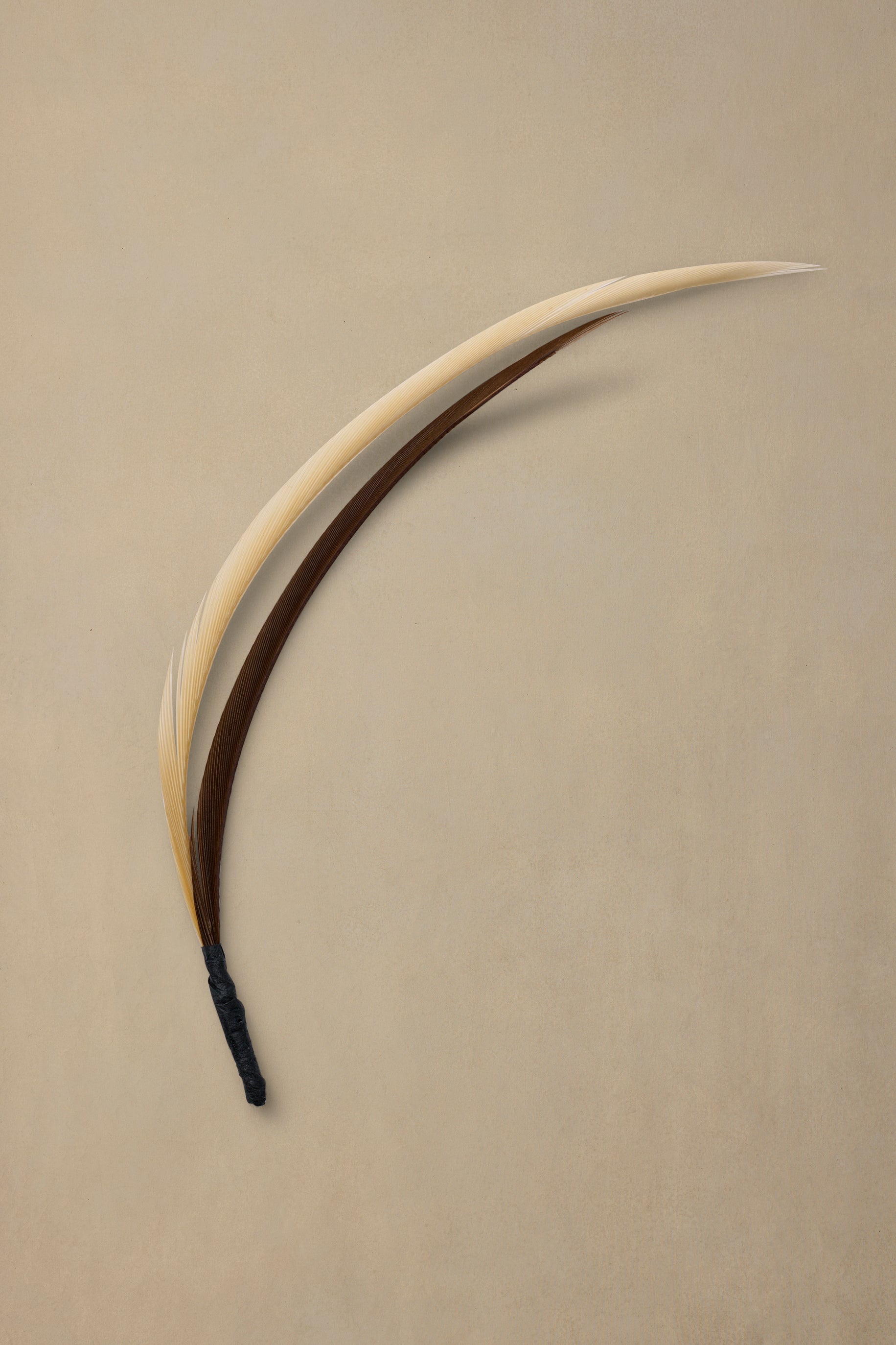 Drovers Quill