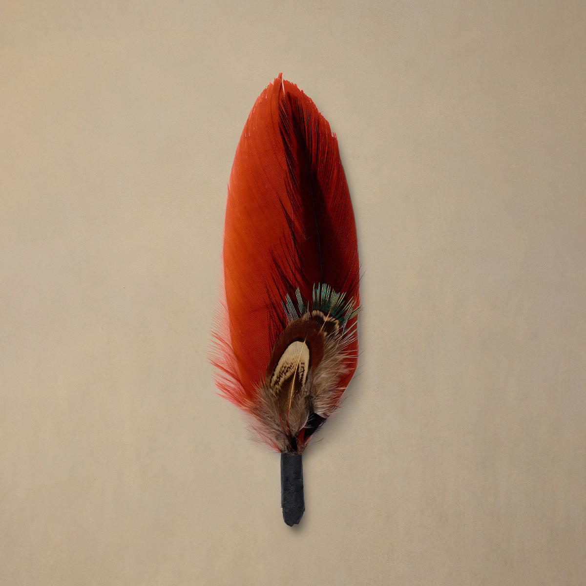 Ember Plume