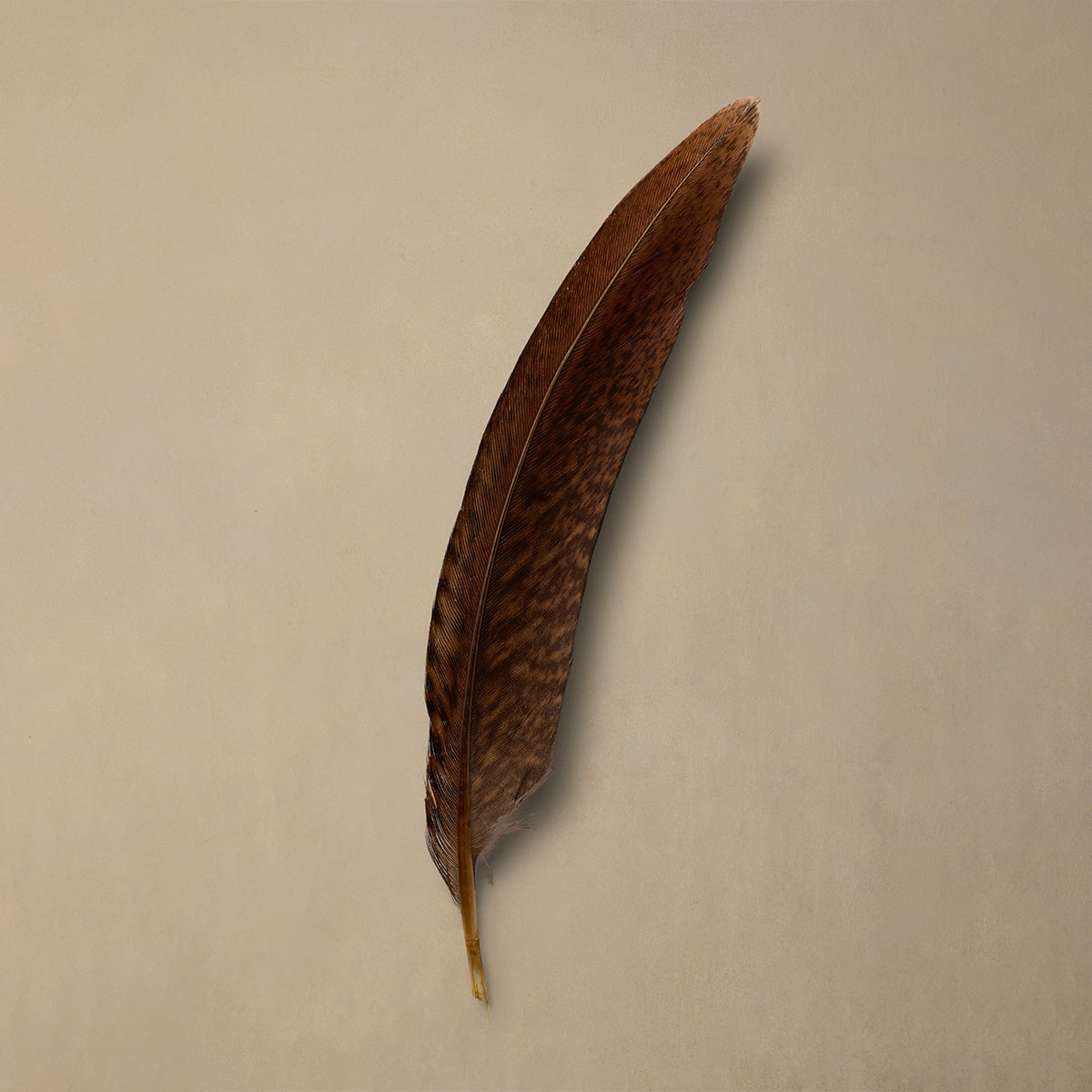 Fineline Quill