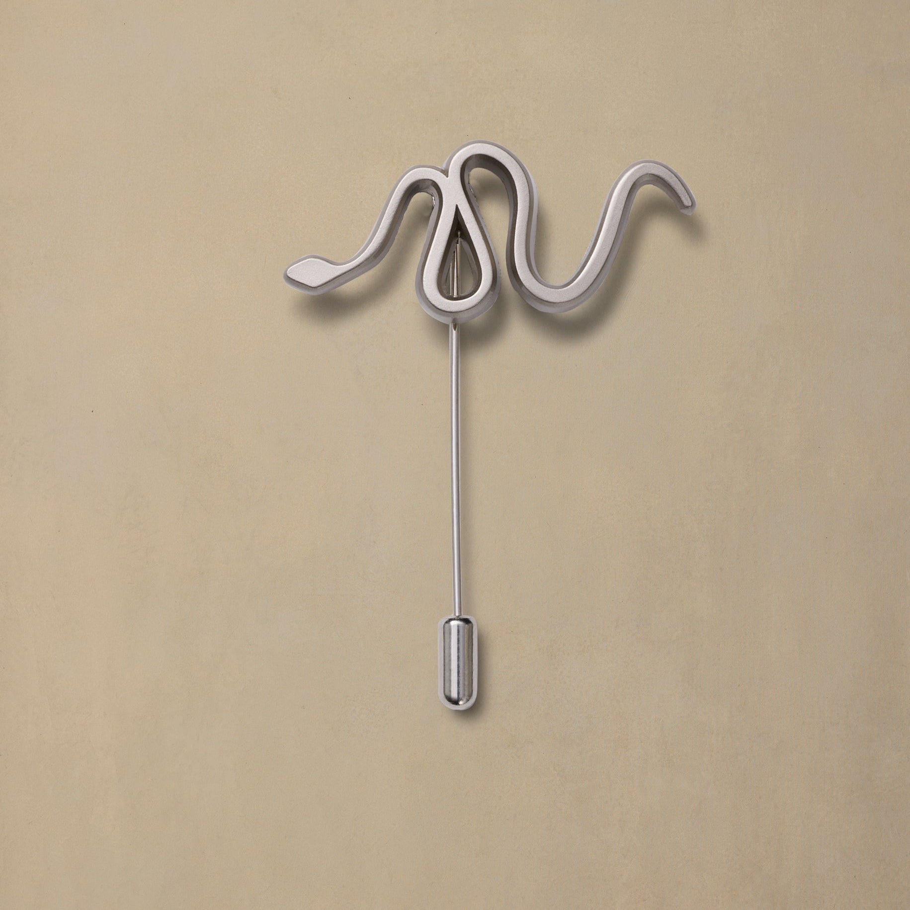 Silver serpent-shaped pin with coiled body design on neutral beige background