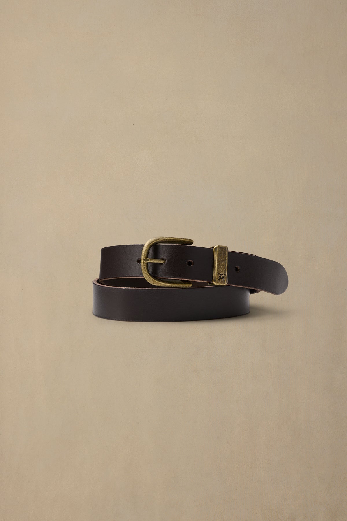 Dark brown leather belt with brass buckle on cream background, coiled display view