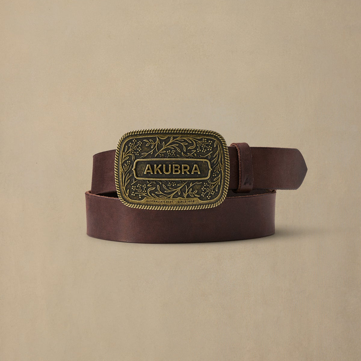 Chocolate brown leather belt with ornate brass buckle featuring AKUBRA branding and floral detailing, displayed against neutral background